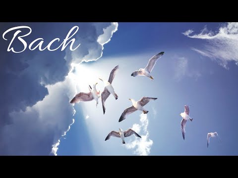 Air ~ Johann Sebastian Bach | 1 Hour Version | Classical  Music For Studying And Concentration