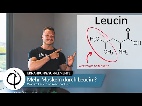 Mehr Muskeln durch Leucin ? Warum Leucin so machtvoll ist!