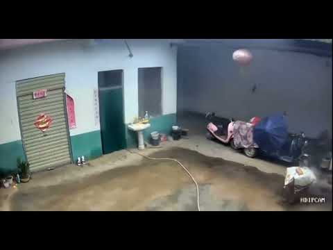 best of r/abruptchaos #1