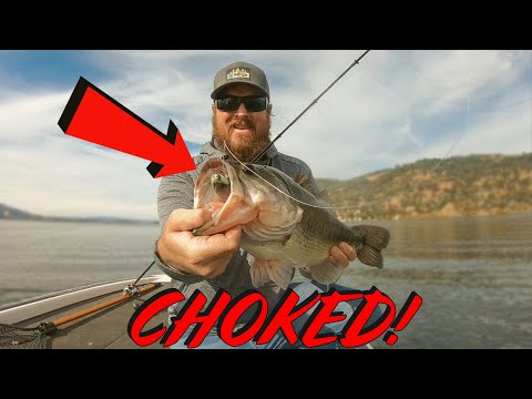 Winter Swimbait Fishing Is Easy! (I'll Prove It)