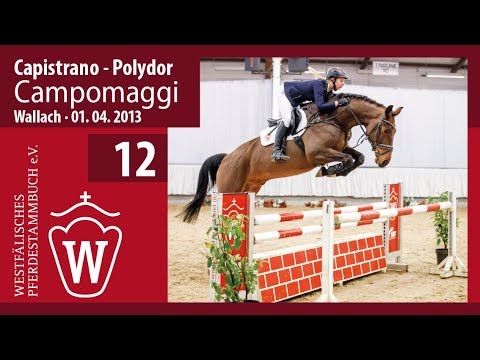 12 Campomaggi   Wallach v. Capistrano - Polydor