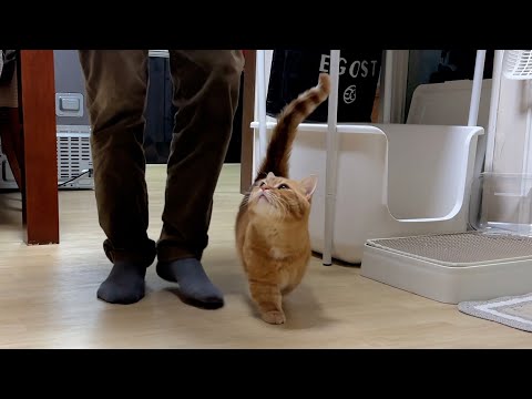 새해에도 우리 함께 걸어요