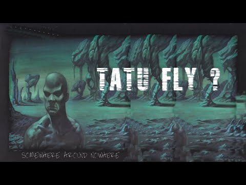 Tatu Fly -  Confused
