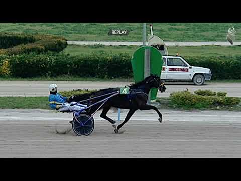 Aversa trotto 23 Dicembre 2020 - 1° Corsa