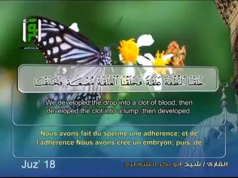 Surat Al Mu'minun - Verses (11 - 14)