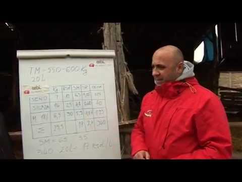 Gebi škola ishrane stoke