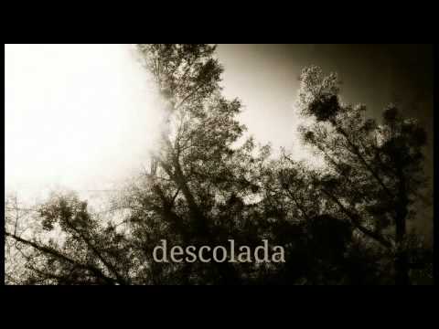 Pepper's Song - Descolada