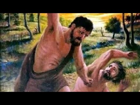 SHENOL NEYKOV - BOLEST NE E BILO - 2023