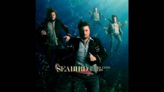 Seabird - Finally Done Right [HD] (lyrics)