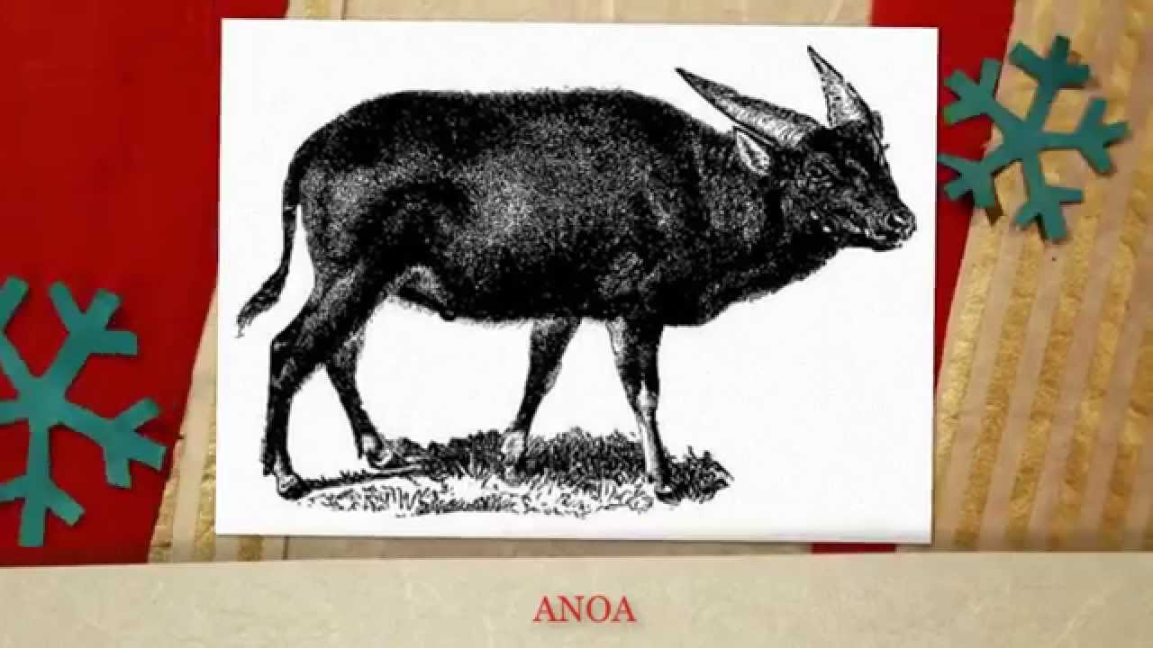 20 Scrabble Words Every Crossword Solver Should Know