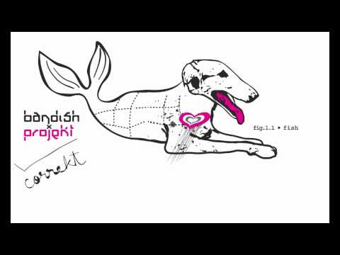 Bandish Projekt - Pukaar