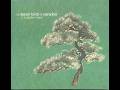 The Lesser Birds of Paradise - A Suitable Frame