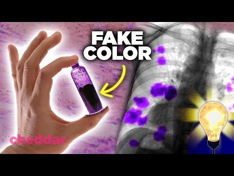 The Purple Hue That Changed the World