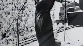 Stevie Nicks - Silver Springs