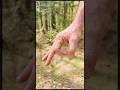 8 Top Secret Military Hand Signals!