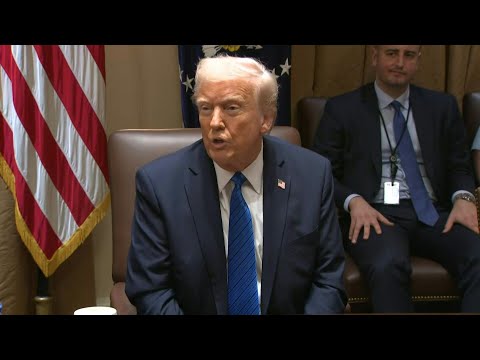 Trump says Europeans 'freeloading' off United States | AFP