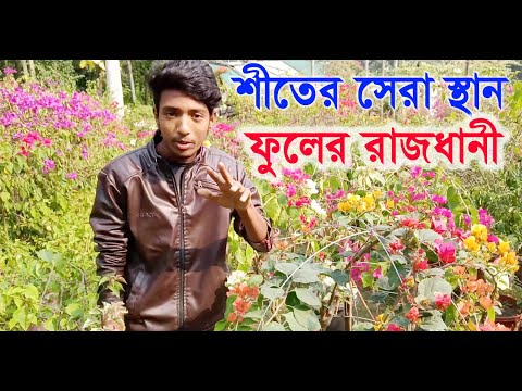 download lagu mp3 mp4 Muchisha, download lagu Muchisha gratis, unduh video klip Muchisha
