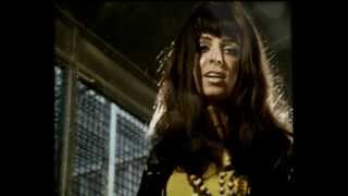 Shocking Blue [|] Moonlight Night