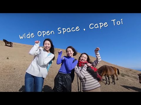 "Miyazaki VR Experience" ＃7 Wide Open Space , Cape Toi