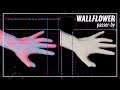 Wallflower "Passer-by" Official Music Video