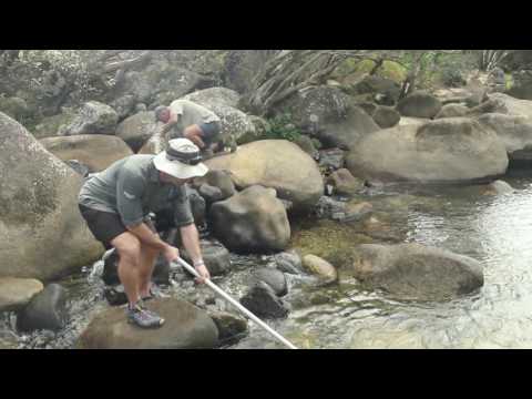 Project 25: Scientists and Farmers working together for Great Barrier Reef water quality