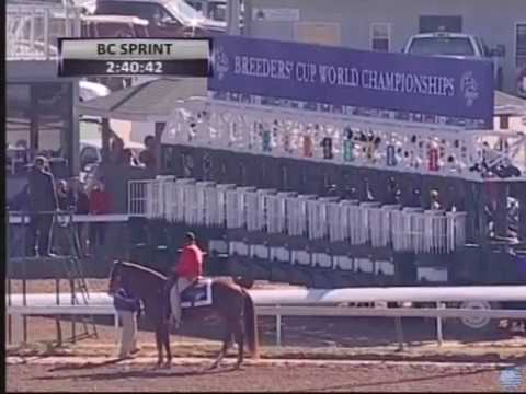 2011 Breeders Cup Sprint (Amazombie)