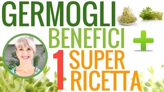 Come USARE i GERMOGLI: proprietà + 1 RICETTA SPECIALE