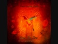 Interlude - David Crowder Band