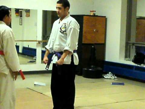 gersons kenpo karate mix