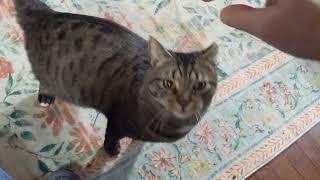 Wiki hates 12 hour work days (with commute). But it's FRIDAY!!!