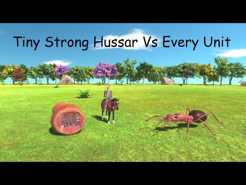 Tiny Strong Hussar Vs Every Unit ARBS |Animal Revolt Battle Simulator