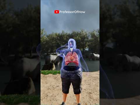 Anant Ambani Weight Loss (3D) by Professor Of How