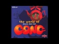 Daevid Allan & Gong: The Flying Teapot