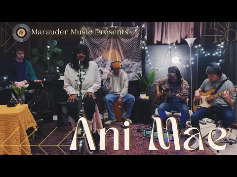 MM Studio A Sessions: Ani Mae