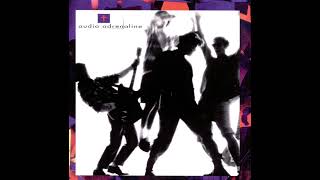 AUDIO ADRENALINE - WHAT YOU NEED