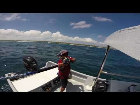 Kiritimati 2017 - Flying Fish