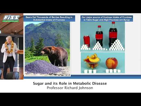 Professor Richard Johnson - Sugar and its Role in Metabolic Disease