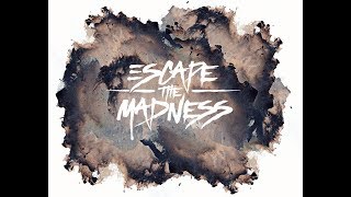 ESCAPE THE MADNESS - No Words Left (Official Video)