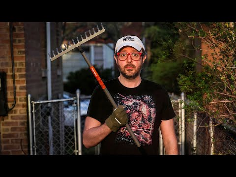 Raking My American Yard For The First Time