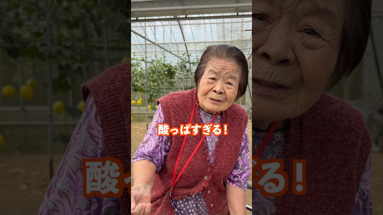 【正直レビュー】パッションフルーツを食べた93才のおばあちゃん #おばあちゃん #沖縄 #ひ孫