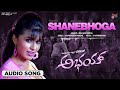 Shanebhoga | Audio Song | Abhay | Tippu | Malgudi Shubha  | Challenging Star DARSHAN | Aarthi Thakur