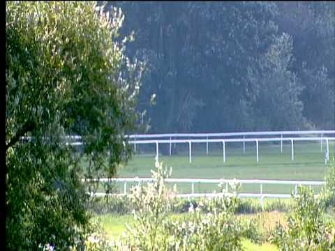 20130825 Windsor Race 3