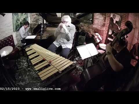 My Foolish Heart - Hendrik Meurkens Quartet - Jazz Harmonica