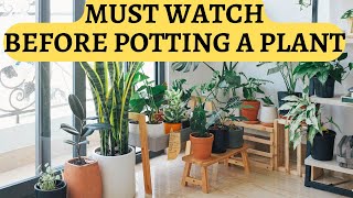 When to repot plants | what is ideal pot size for plants