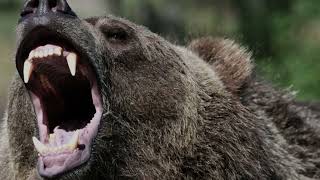 СМЪРТОНОСНА СХВАТКА