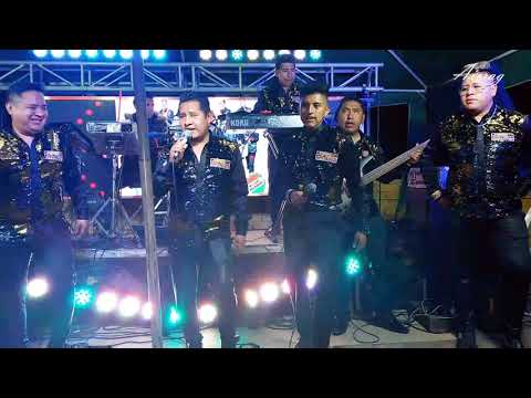 Los Delfines del Amor - Buscaré otro querer | En vivo 2022 ✓