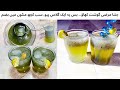 Mint Margarita Mint Lemonade Recipe Eid Special Refreshing Nimbu Pudina Drink