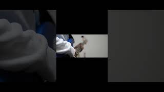 ｘ【#盗作】【#ヨルシカ】【#shorts】  #盗作 #ヨルシカ  プロフよりYouTube fullへ飛べます！