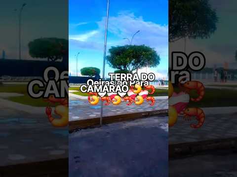 Cidade Maravilhosa Oeiras ❤️‍🩹🦐do Pará ❤️‍🩹❤️‍🩹❤️‍🩹❤️‍🩹 Terra do Camarão 🦐🍤🦐🍤🦐