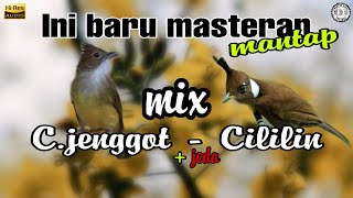 Download lagu Masteran Mix Cucak Jenggot - Cililin | Ini Baru TOP mp3